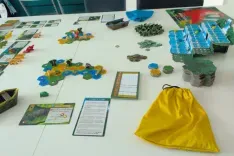 Life of the Amazonia - Tijdens het spel
